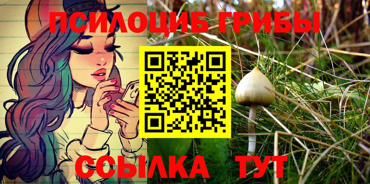 Галлюциногенные грибы мицелий  Вход с VPN  Североморск 